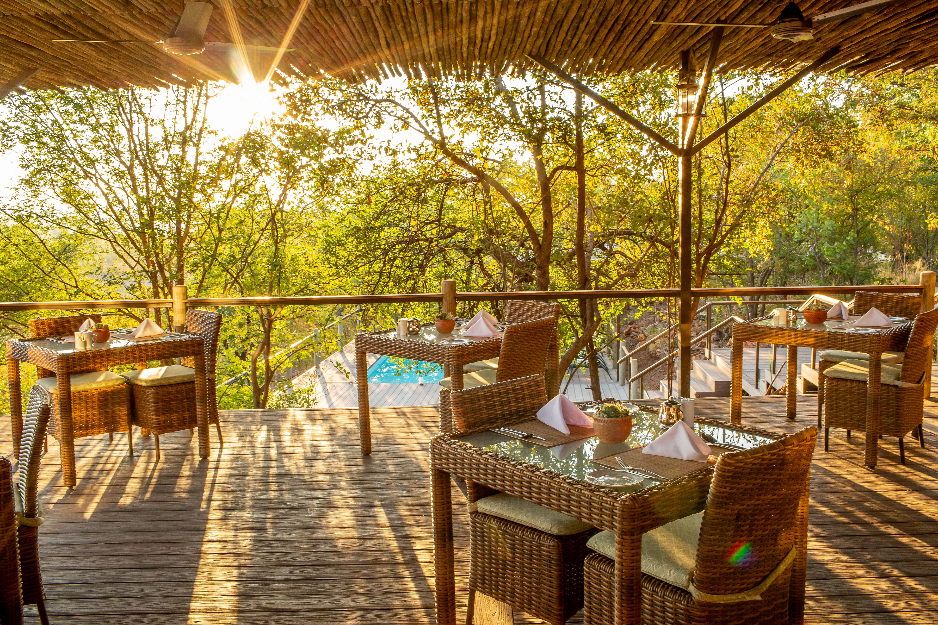 The Elephant Camp Main thumbnail 25